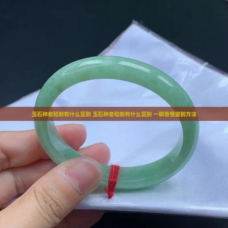 玉石种老和新有什么区别