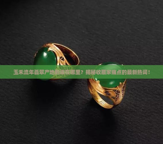 玉禾流年翡翠产地