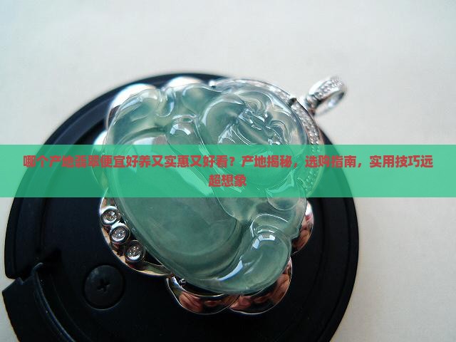 哪个产地翡翠便宜好养又实惠又好看