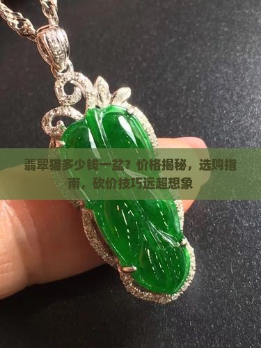 翡翠猫多少钱一盆