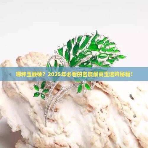 密度最高的玉 密度最高的玉