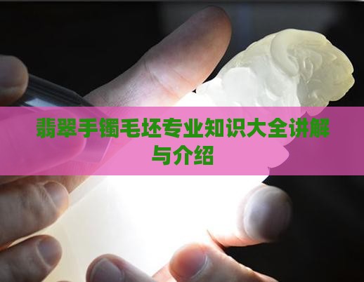 翡翠手镯毛坯专业知识
