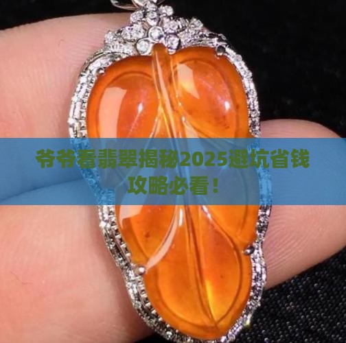 爷爷看翡翠