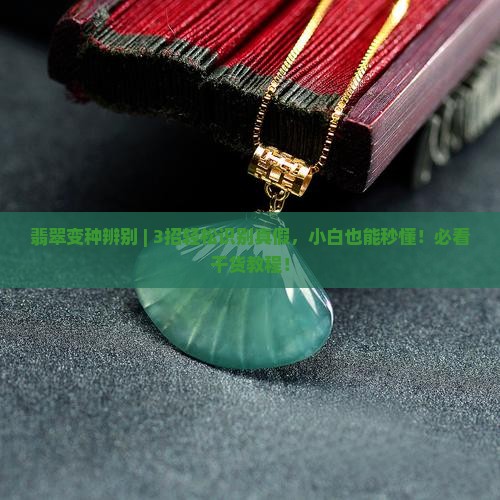 翡翠变种辨别
