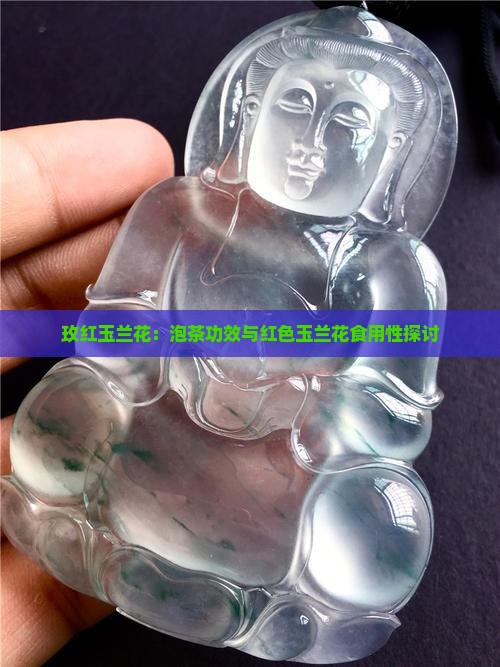 玫红玉兰花