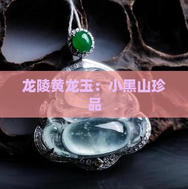 龙陵县小黑山黄龙玉