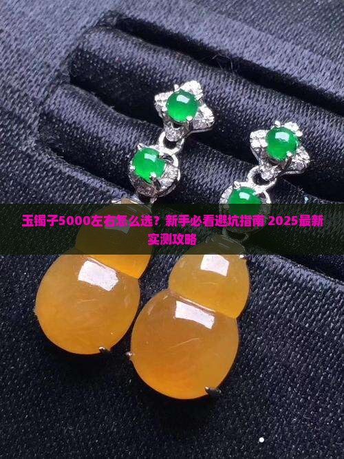 玉镯子5000左右