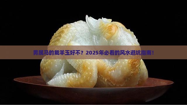 男属马的戴羊玉好不
