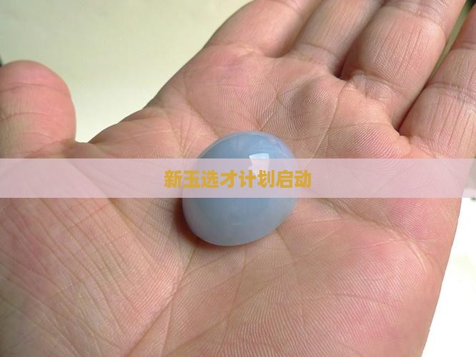新玉选才计划启动