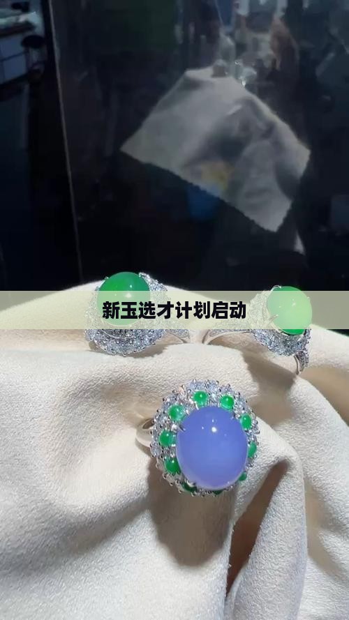 新玉选才计划启动