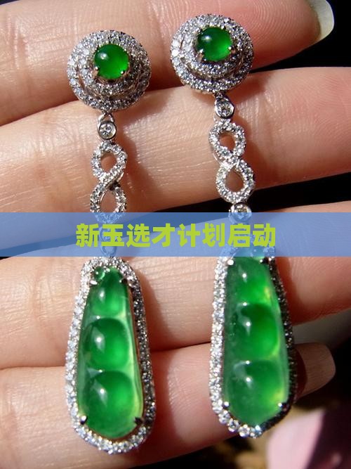 新玉选才计划启动