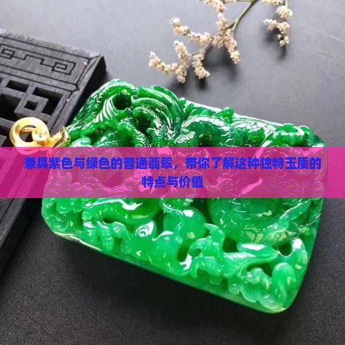 兼具紫色与绿色的普通翡翠，带你了解这种独特玉质的特点与价值