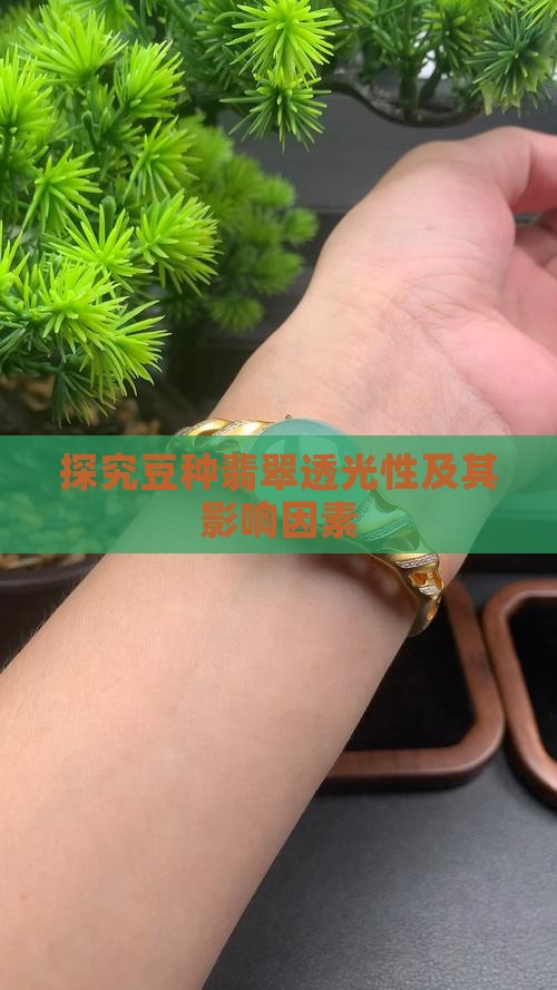 探究豆种翡翠透光性及其影响因素