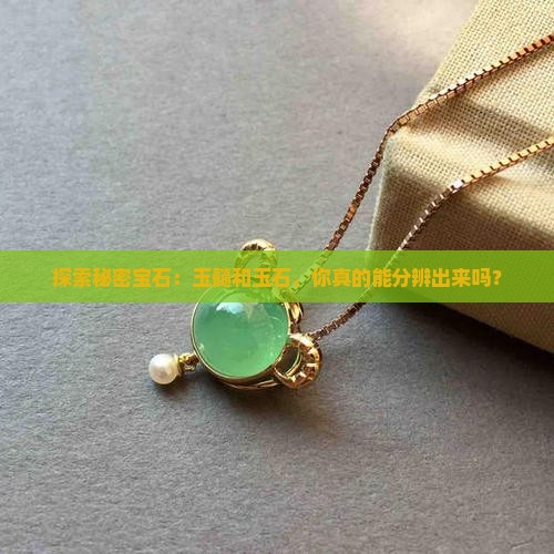 怎么分辨玉髓跟玉石