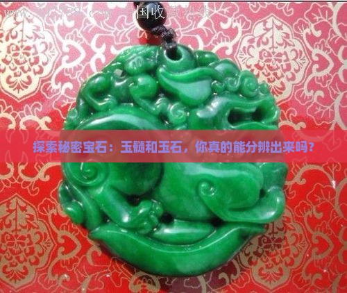 怎么分辨玉髓跟玉石