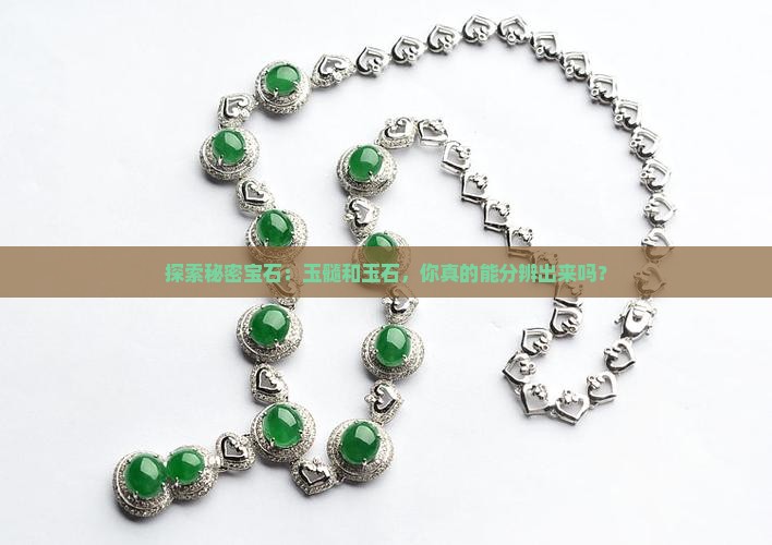 怎么分辨玉髓跟玉石