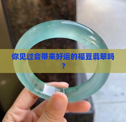 糯种福豆翡翠