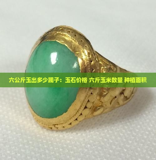 六公斤玉出多少躅子