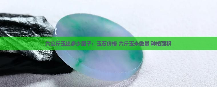 六公斤玉出多少躅子