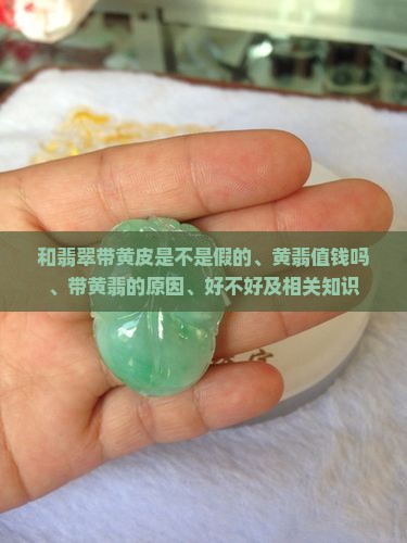 和翡翠带黄