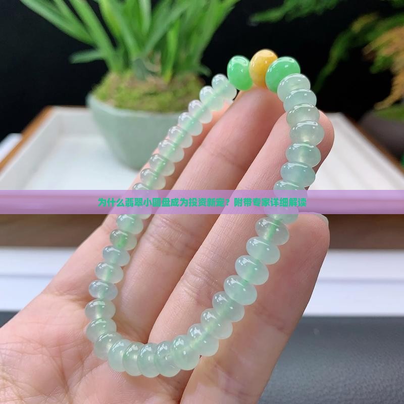 翡翠小圆盘 翡翠小圆盘