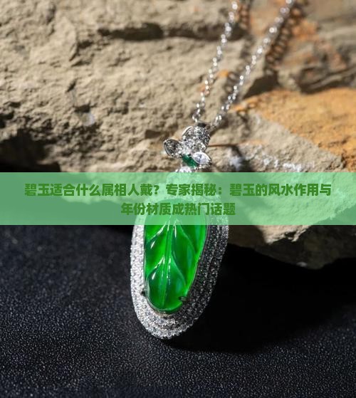 碧玉适合什么属相人戴