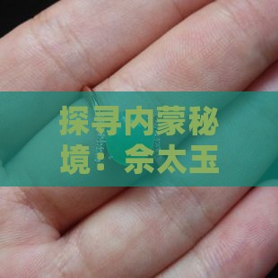 内蒙佘太玉产区