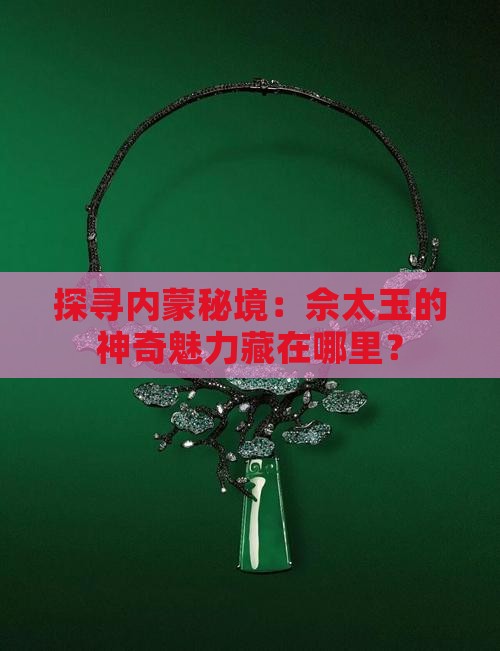 内蒙佘太玉产区
