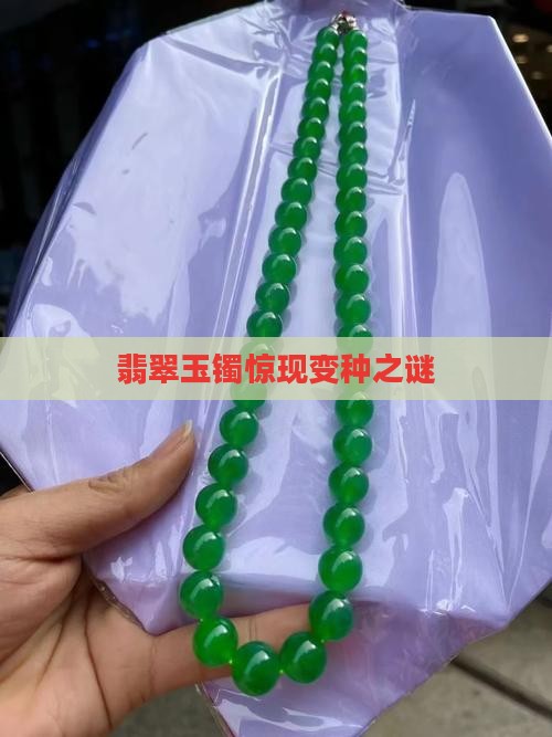 玉镯都变种吗