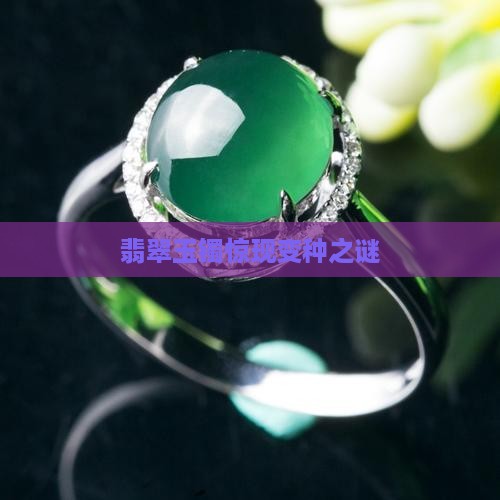 玉镯都变种吗
