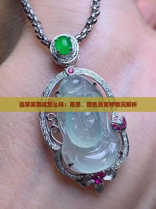 翡翠芙蓉底怎么样