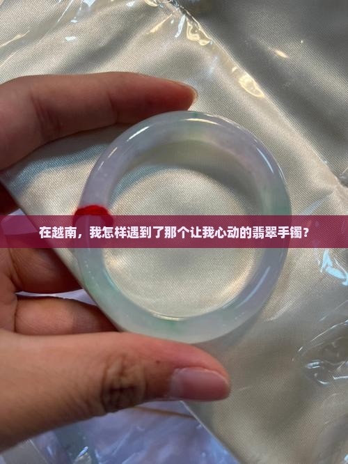 去越南买了个翡翠手镯
