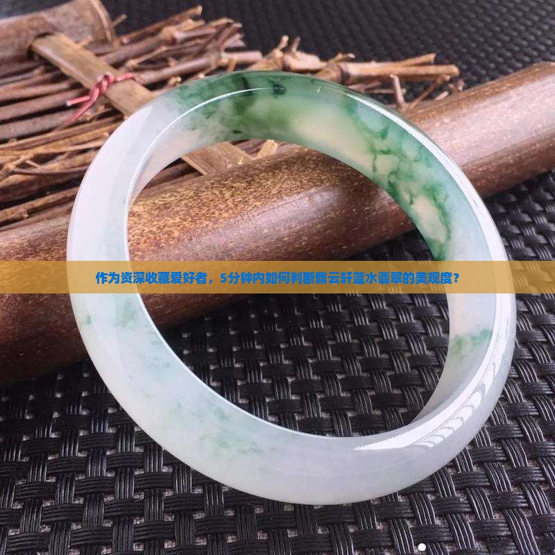 鼎云轩蓝水翡翠怎么样好看吗