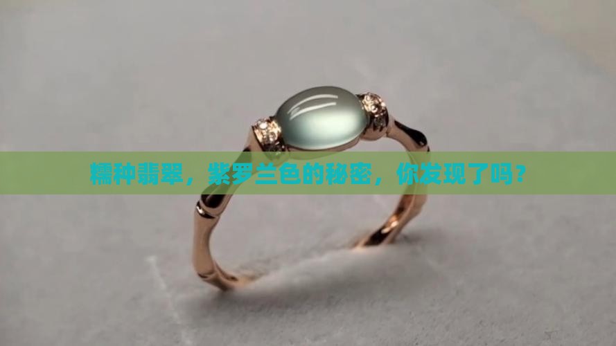 糯种翡翠紫罗兰
