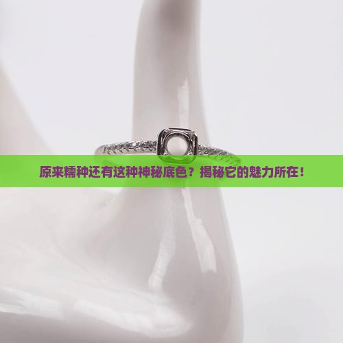 糯种带底色