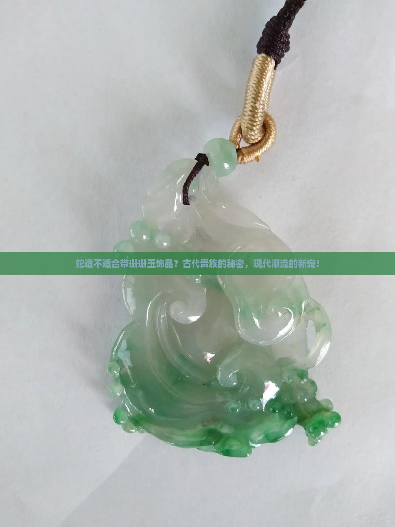 蛇适不适合带珊珊玉饰品 蛇适不适合带珊珊玉饰品