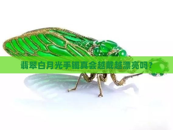 翡翠白月光手镯会变种吗