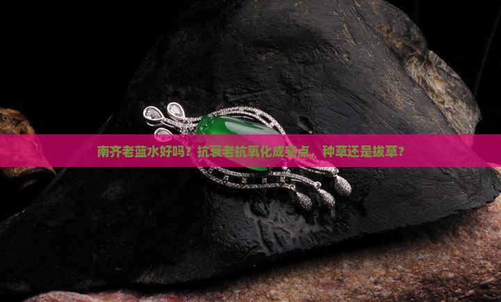 南齐老蓝水好吗