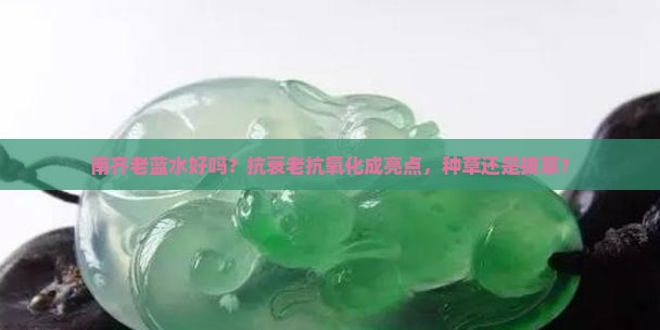 南齐老蓝水好吗