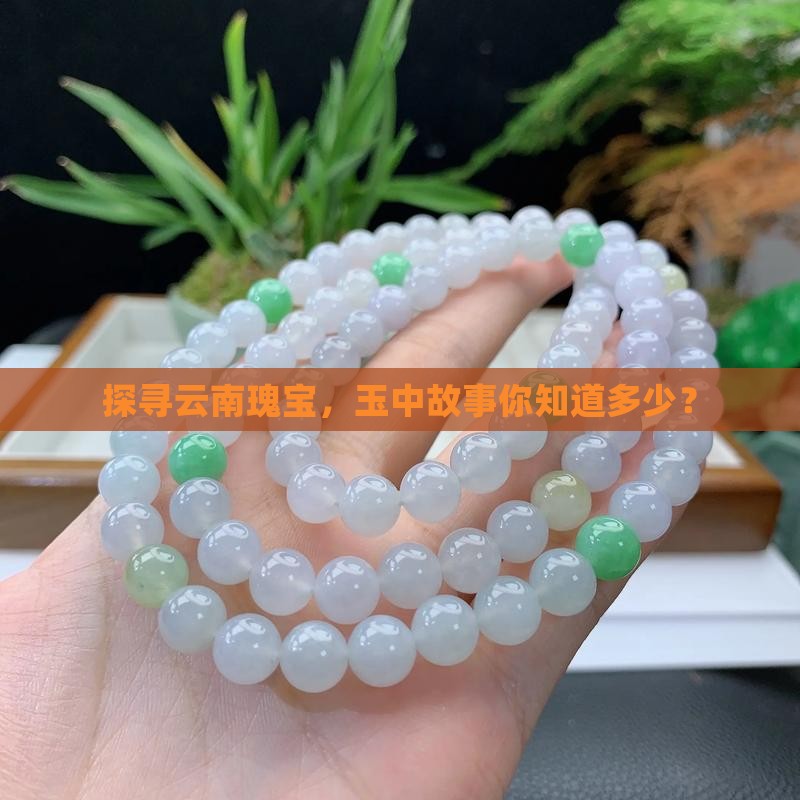 云南旅游玉