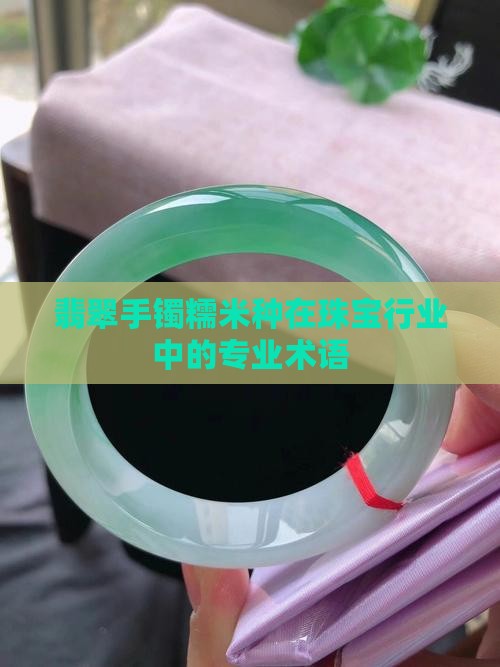翡翠手镯糯米种