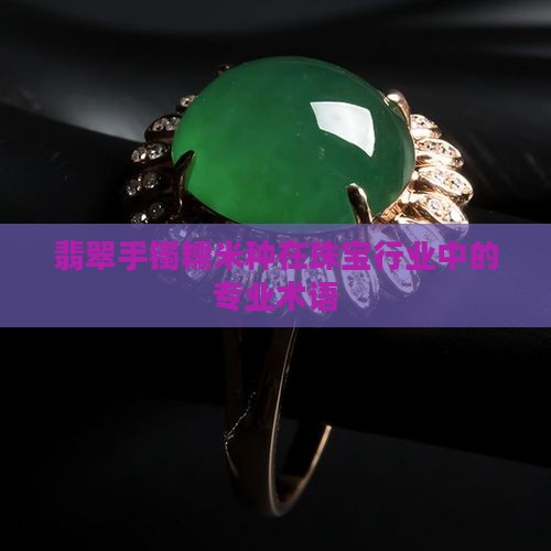 翡翠手镯糯米种