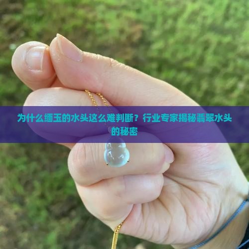 缅玉的水头