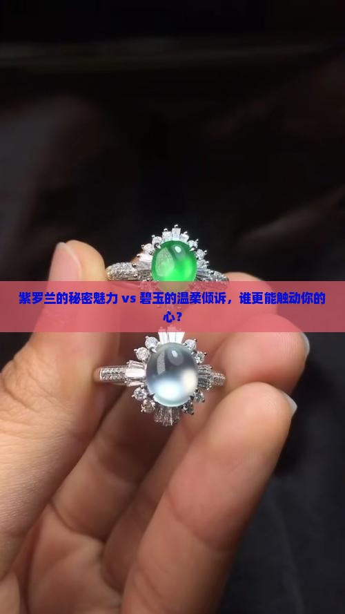 紫罗兰和碧玉哪个好