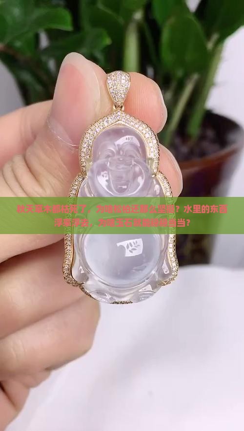 草木秋死松柏独在水浮万物玉石留止
