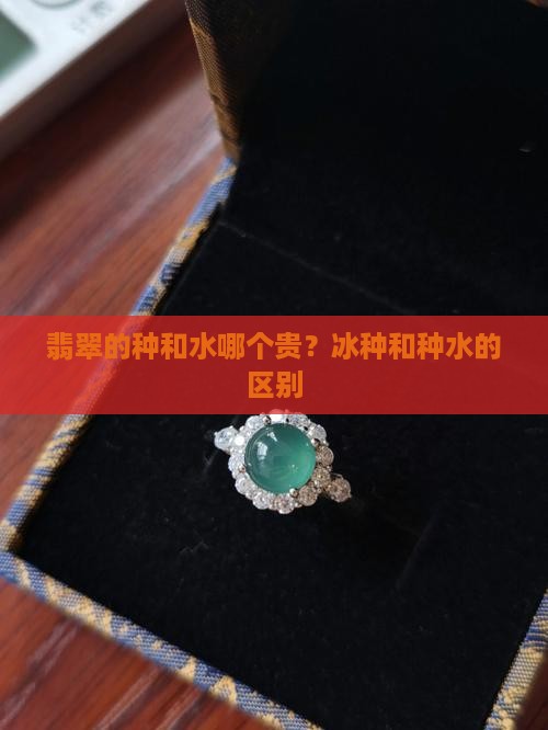 翡翠的种和水那个贵