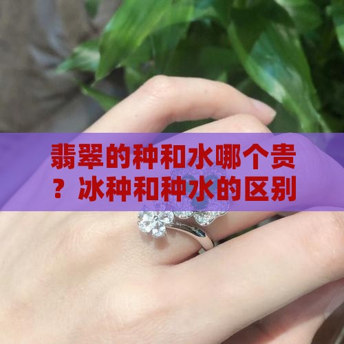翡翠的种和水那个贵