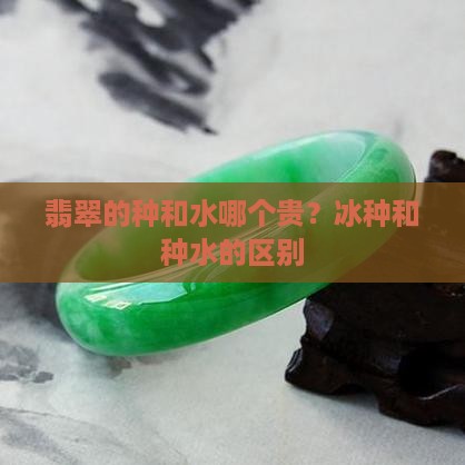 翡翠的种和水那个贵