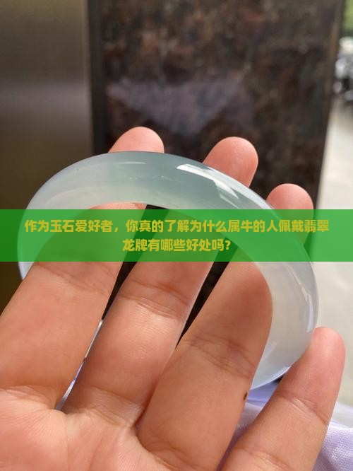 属牛的合适佩戴翡翠龙牌