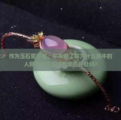 属牛的合适佩戴翡翠龙牌